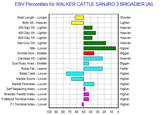 wagyu bull ebv data chart