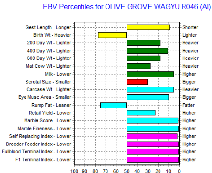 Olive Grove Wagyu R046 Bull's EBV Graph