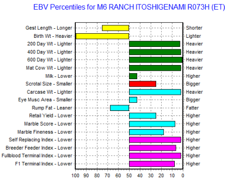 Mr Universe Wagyu Bull EBV Chart.  Semen sold here.