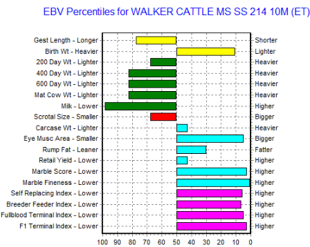 top 5% wagyu heifer for sale, ebv graph