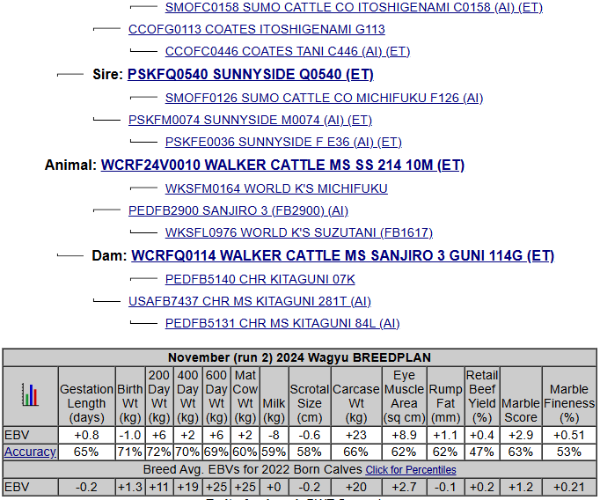 wagyu pedigree showing sanjiro 3 on dam side and sunnyside q0540 on top