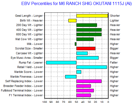 ebv chart for wagyu heifer being offered for sale