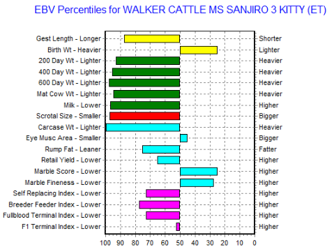 bred wagyu cow for sale AU ebv chart