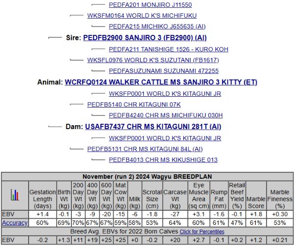 bred wagyu cow for sale pedigree graph