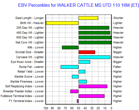 wagyu australian ebv chart 