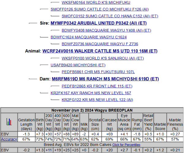 wagyu for sale pedigree