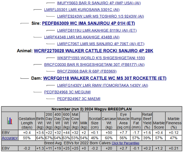 wagyu recipient pedigree