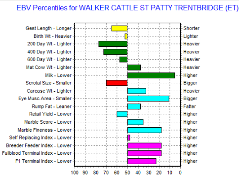 au ebv chart for wagyu heifer