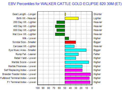 wagyu heifer ebv chart goldfinger