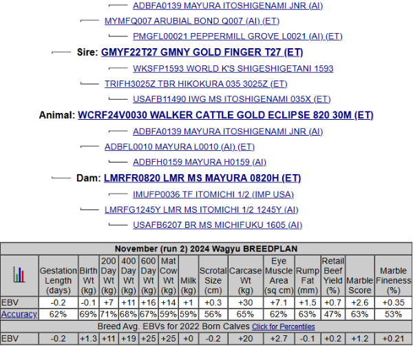 goldfinger wagyu heifer pedigree graph