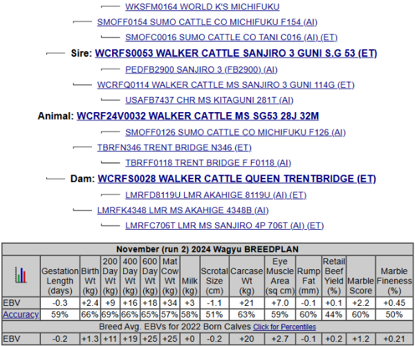 wagyu heifer pedigree list