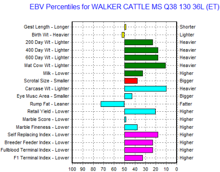 au ebv graph of a wagyu heifer for sale located in texas