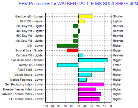 wagyu sanjiro 3 heifer for sale ebv's