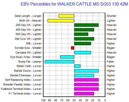 wagyu heifer ebv chart, top 10%, for sale