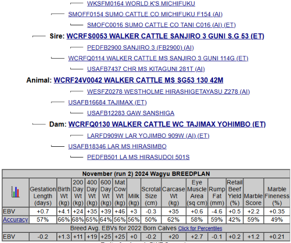 wagyu pedigree list