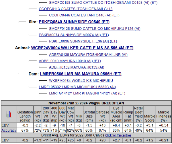 wagyu pedigree list