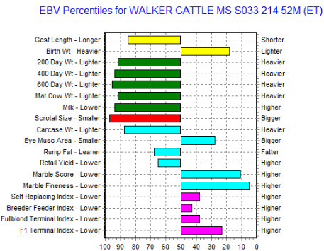 olive grove s033 wagyu heifer EBV graph