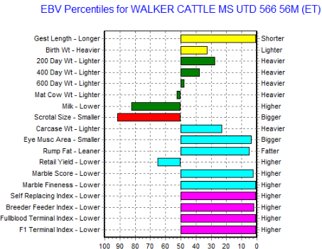 wagyu heifer ebv chart top 1%