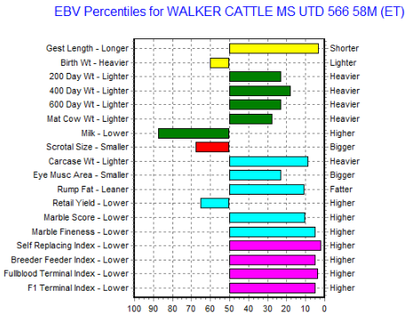 wagyu heifer au ebv graph