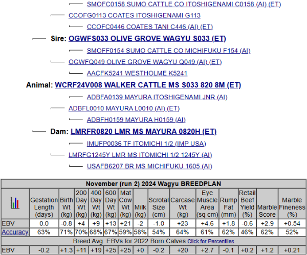 wagyu heifer pedigree list