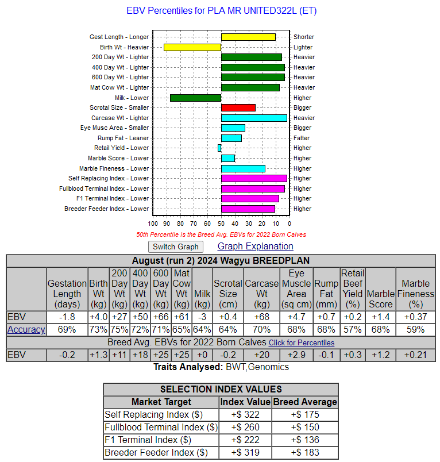 wagyu carcass data chart