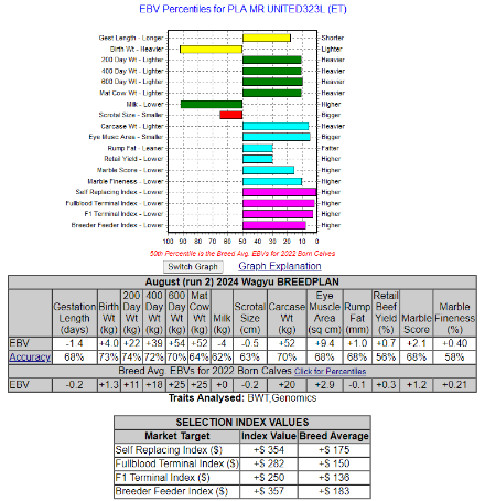 wagyu bull carcass trait ebv data