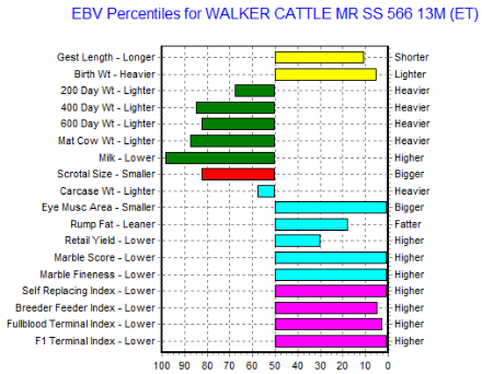 wagyu bull ebv graph