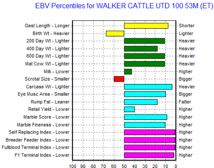 wagyu bull genomic ebv information, top size and marbling