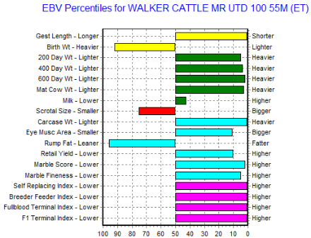 wagyu bull ebv graph, top 1% in all indexes like bfi (breeder feeder index)