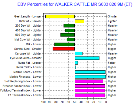 wagyu bull for sale ebv graph