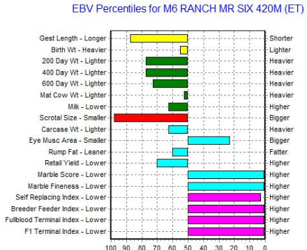 wagyu semen ebv graph australia