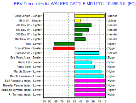 wagyu bull genomic profile data top 1% animal