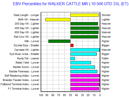 wagyu bull for sale genomic ebv information, top wagyu rated bull for sale online