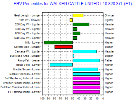 wagyu bull for sale genomic profile data