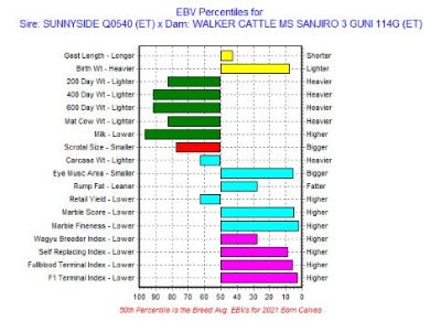 ebv for wagyu embryo with sunnyside as the sire