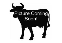 placeholder cow image says coming soon